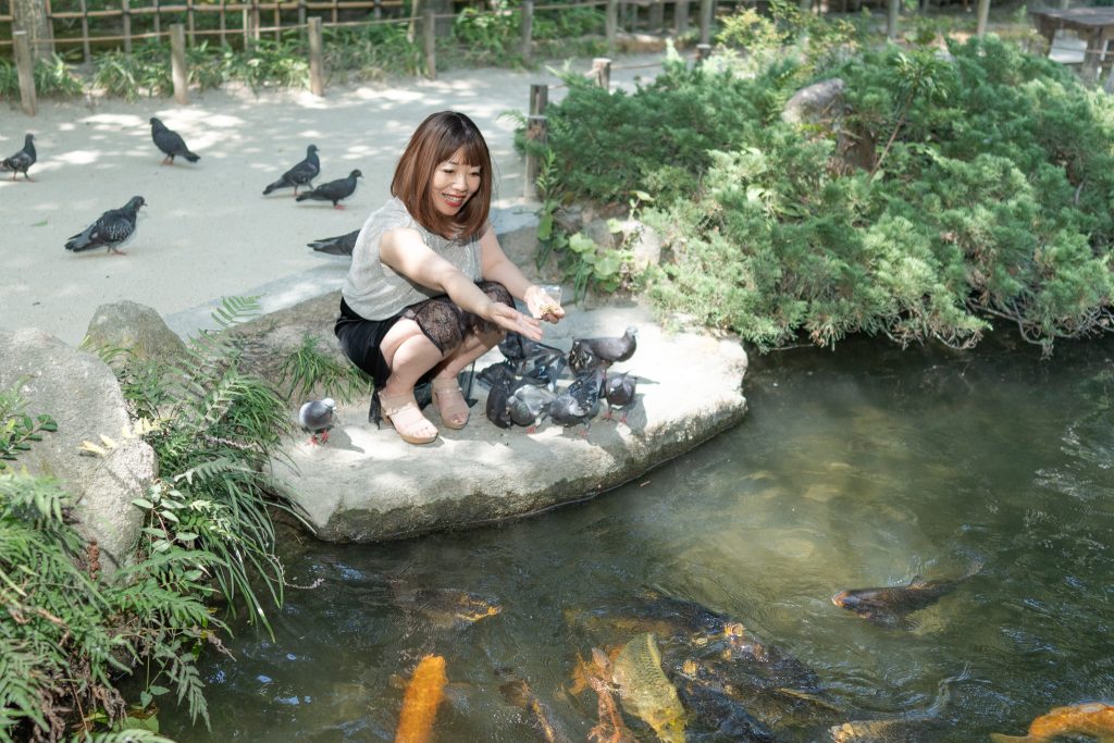 楽水園の池の鯉に餌をやる久美子