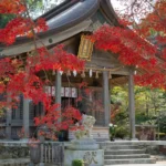 前の記事 - 太宰府市・竈門神社の紅葉2025｜平日限定11,000円の七五三撮影プランのお知らせ